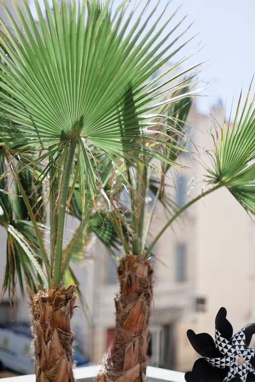 L'Orangeraie Et La Palmeraie D'Endoume Marseille Ngoại thất bức ảnh